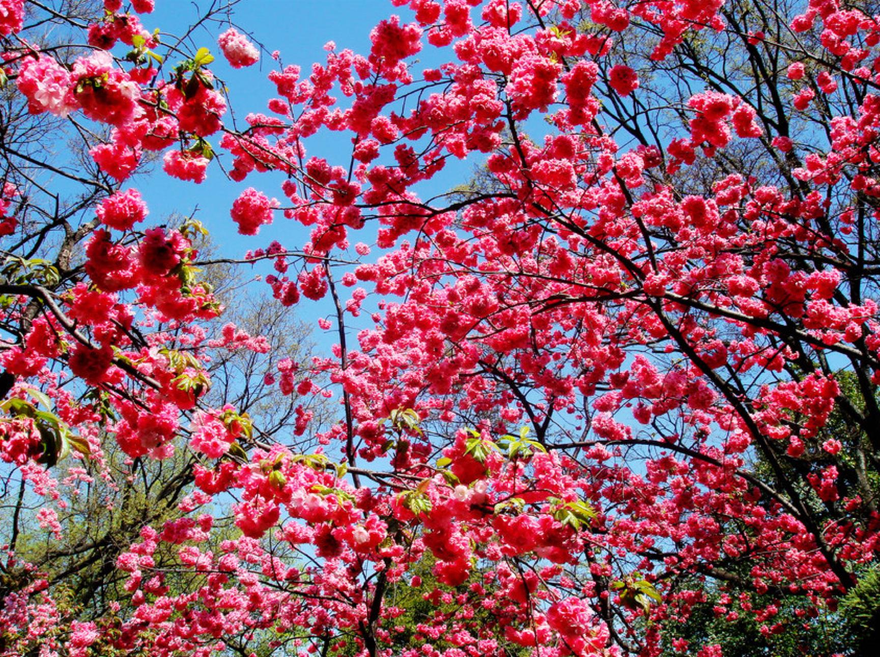 云南昆明最新攻略,昆明旅游不踩坑攻略