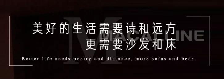 红星美凯龙轻资产转型,红星美凯龙轻资产重运营