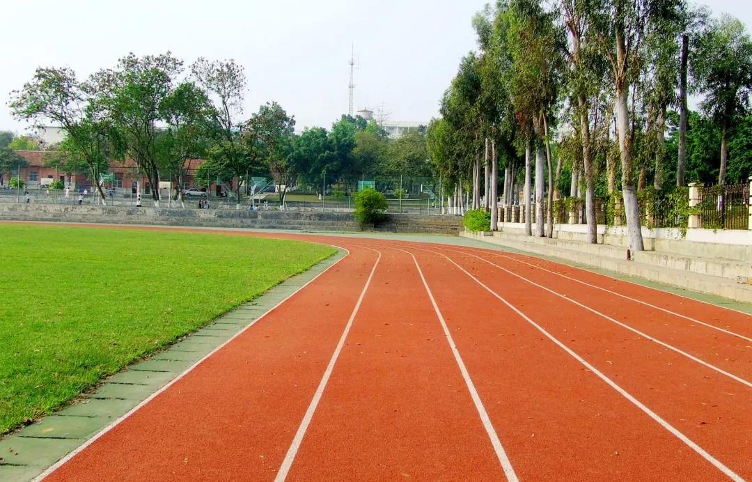 哪里直播中超,中超直播现场完整版