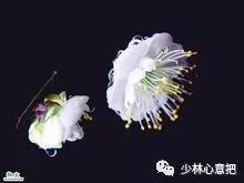 中药药材大全及功效,补肾中药大全及功效