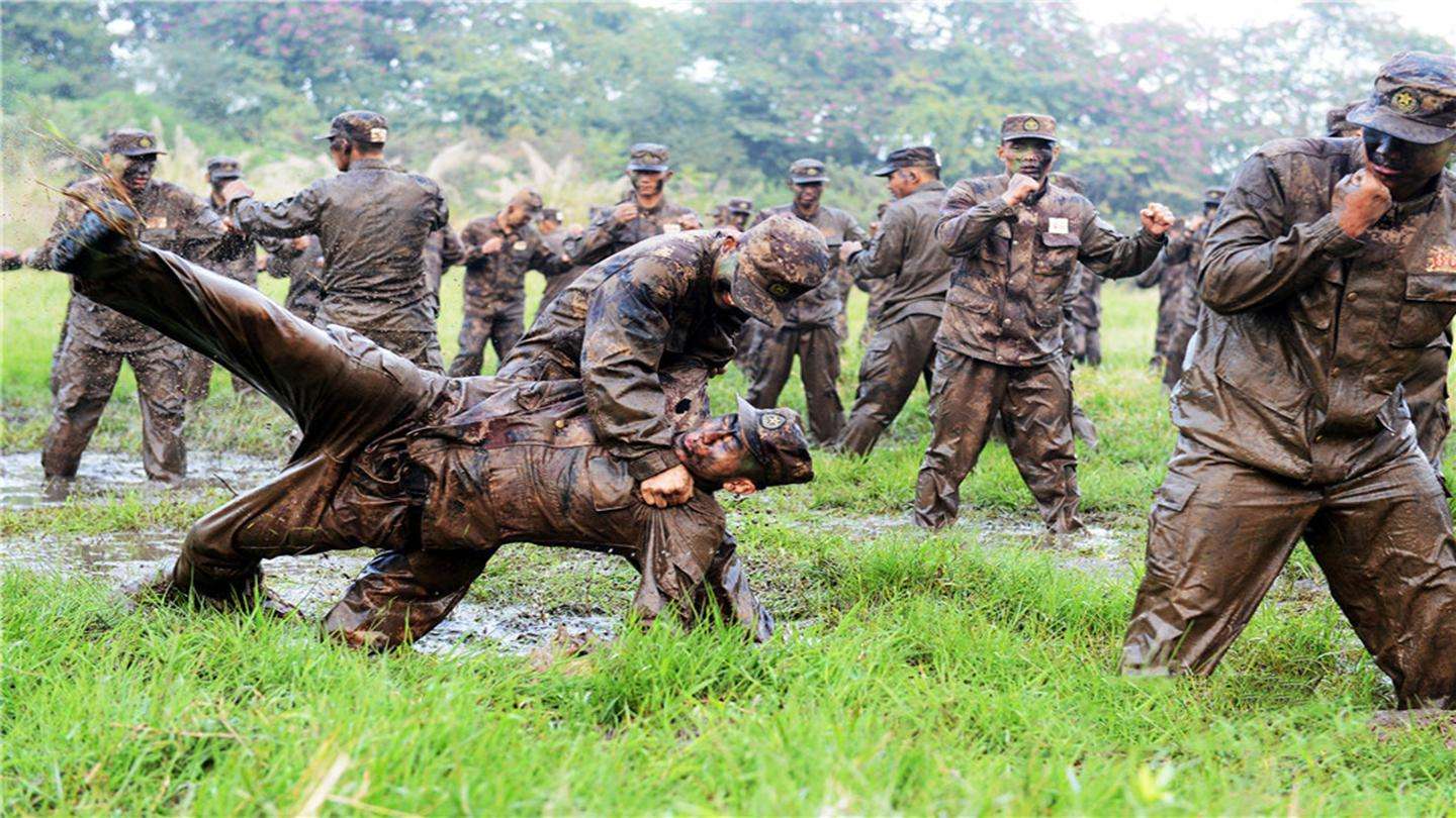 巴西柔术与中国武术谁厉害,综合格斗和巴西柔术哪个厉害