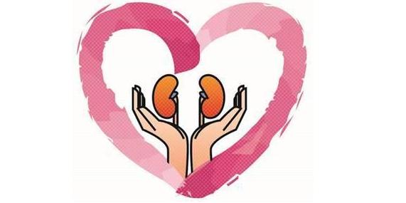 肾性高血压用药,肾不好高血压联合用药