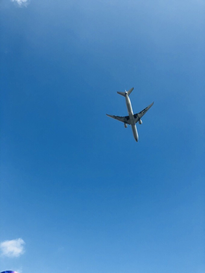 三亚旅游攻略自由行游记,三亚自由行超全干货旅游攻略