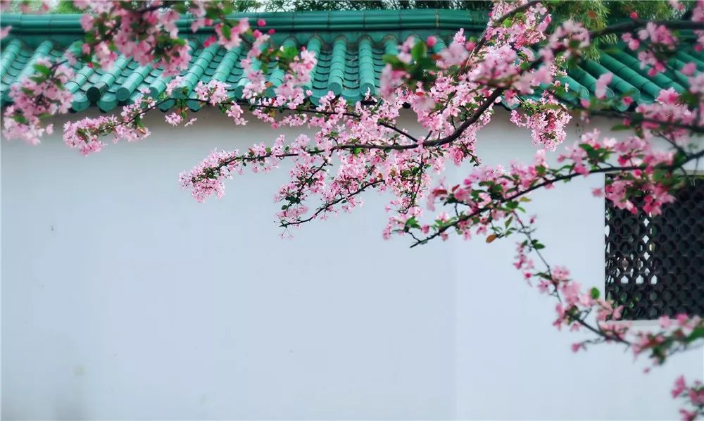 江阴利港中山公园,江阴利港美景