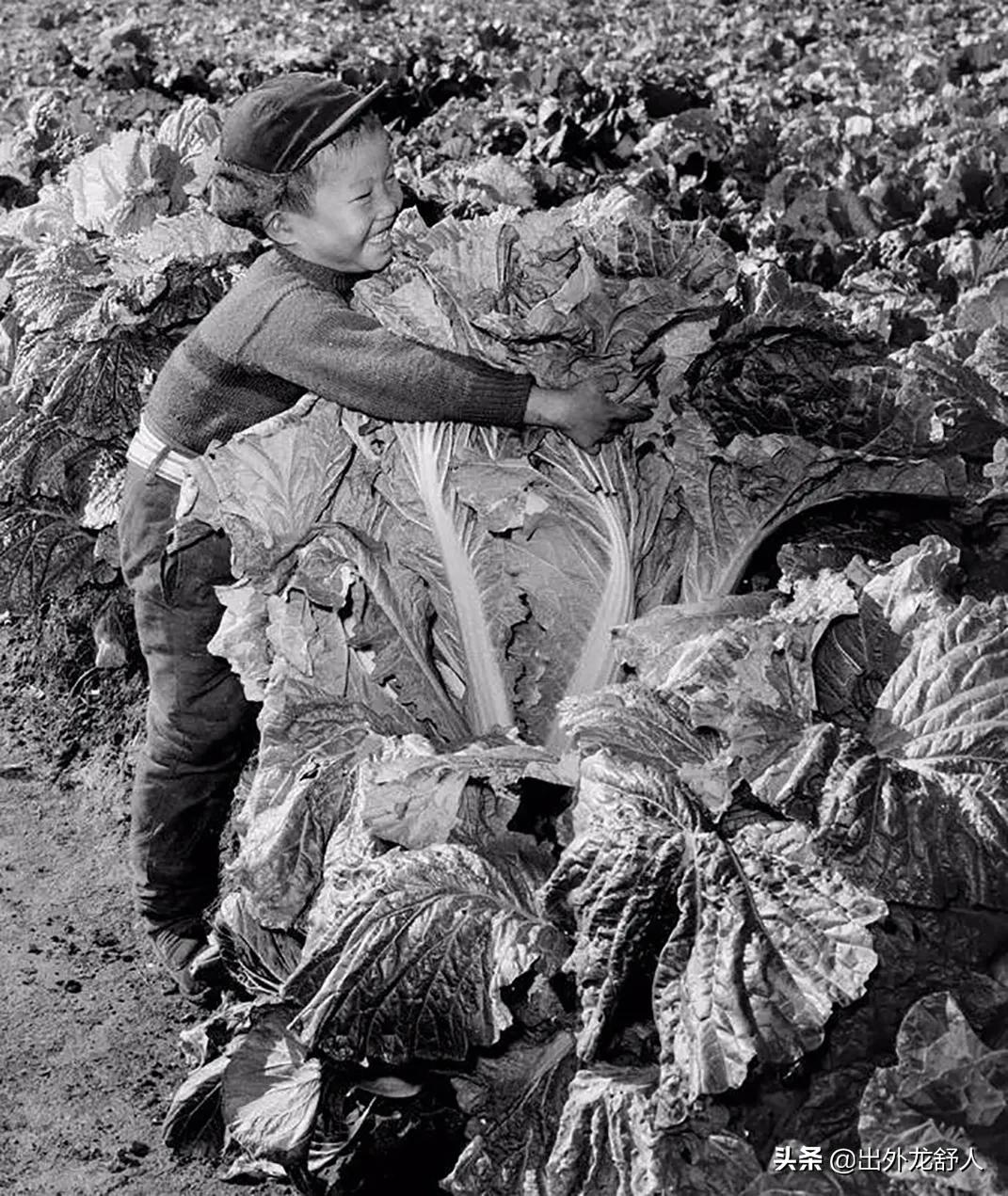 合肥杏花公园在什么地方,合肥杏花村离步行街近吗