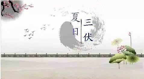 最正宗的黄桃是哪里的,黄桃哪种产地最好吃