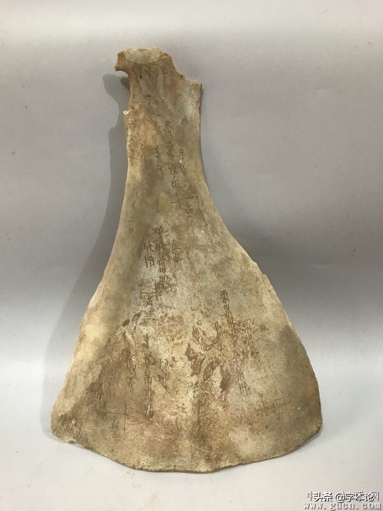 甲骨占卜灵验吗,占卜甲骨