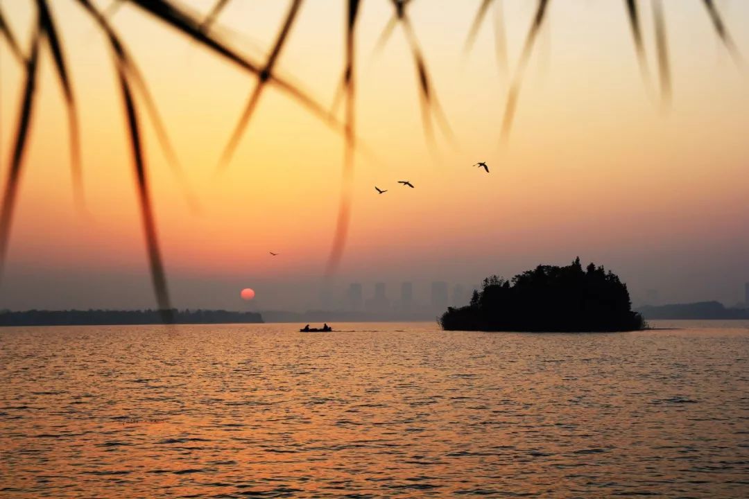 腹有诗书气自华的名句是谁写的,金句腹有诗书气自华