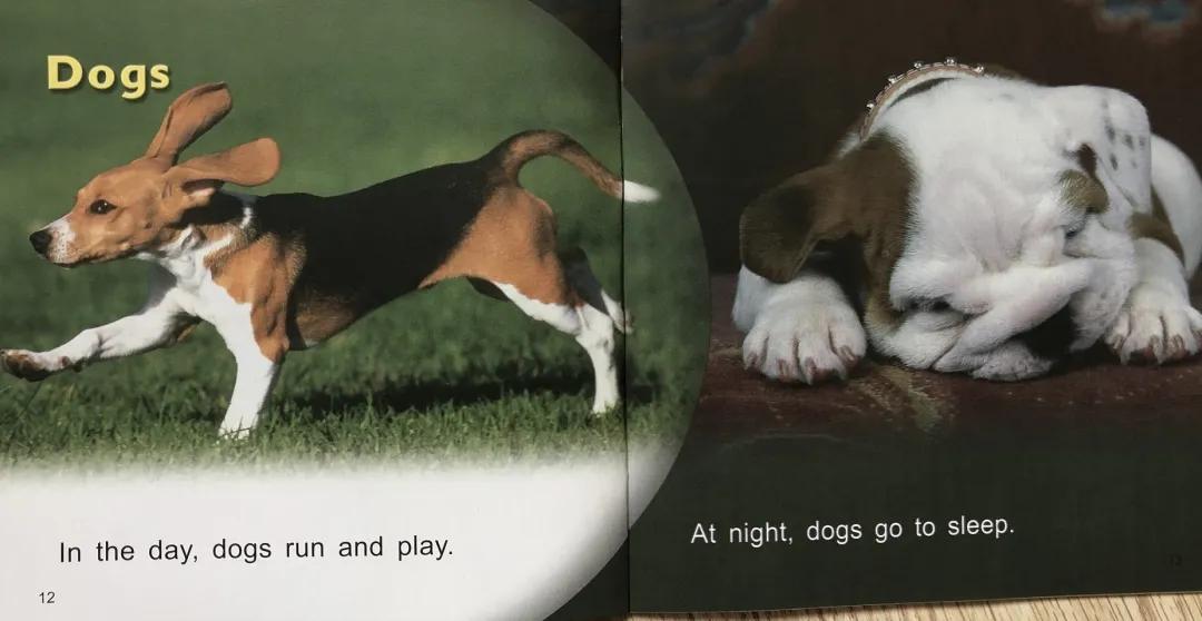 培生幼儿英语启蒙单词,培生幼儿启蒙英语点读