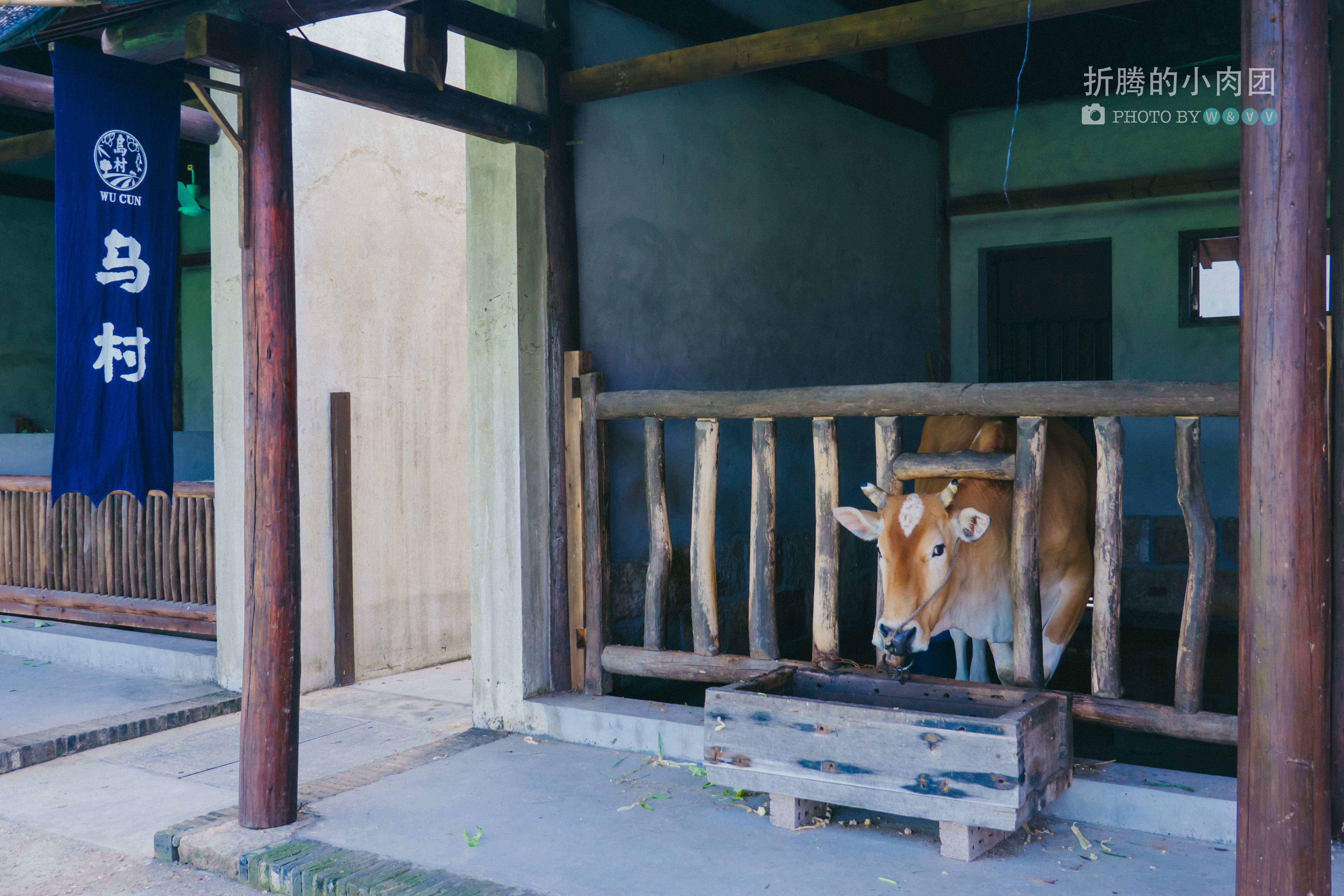 乌村亲子游全攻略,乌村亲子游攻略