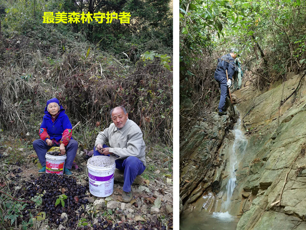 林业礼赞——世界最后一滴水将是人类的眼泪吗