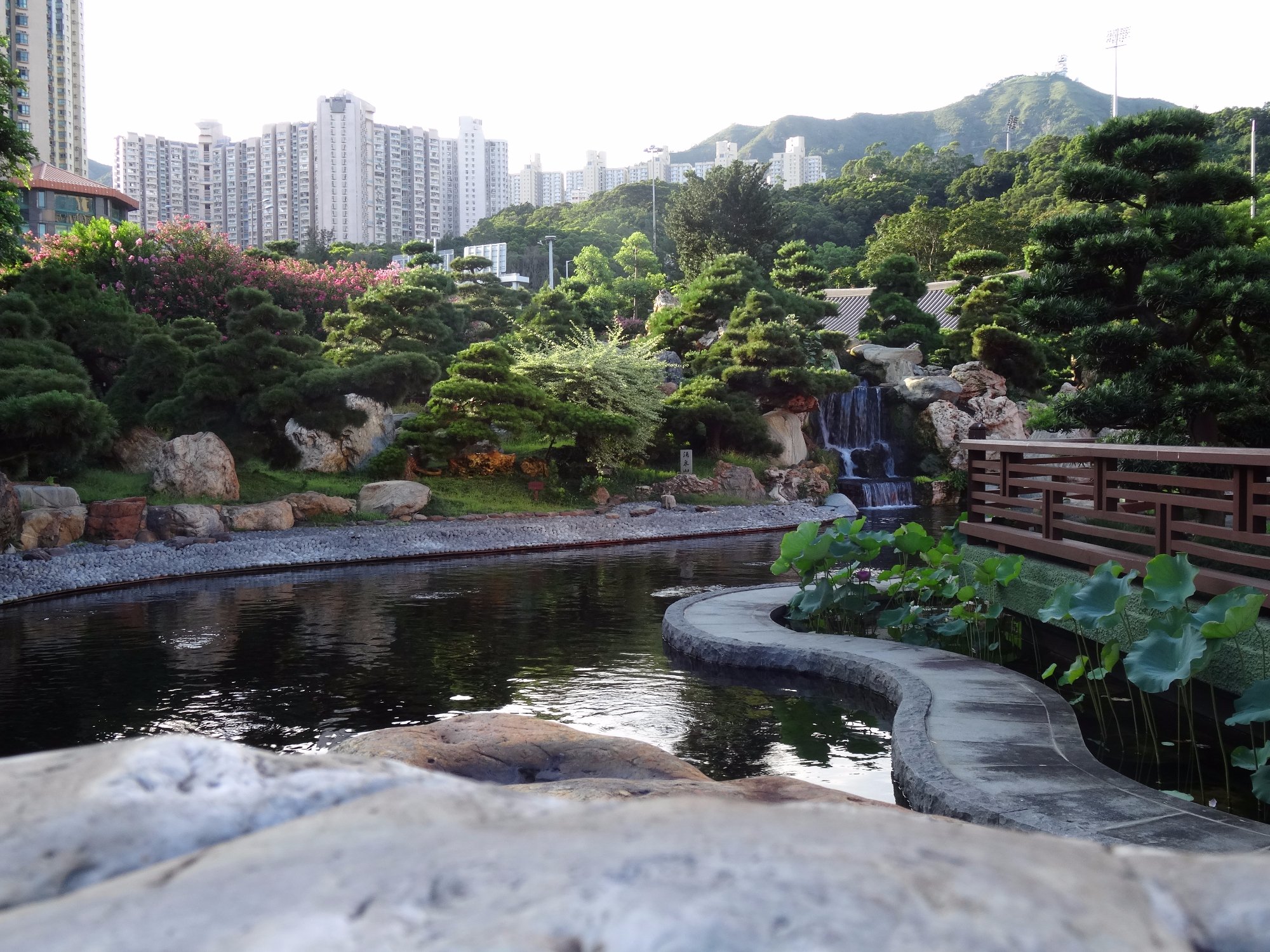 香港志莲净苑地图,香港志莲净苑好玩吗