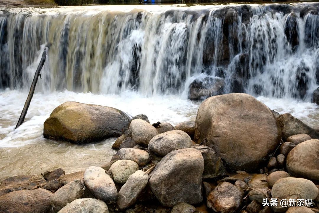 南糯山有什么景点,南糯山有哪些景点