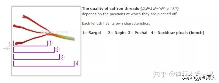 藏红花真假辨别视频教程,鉴别藏红花真假的最好方法