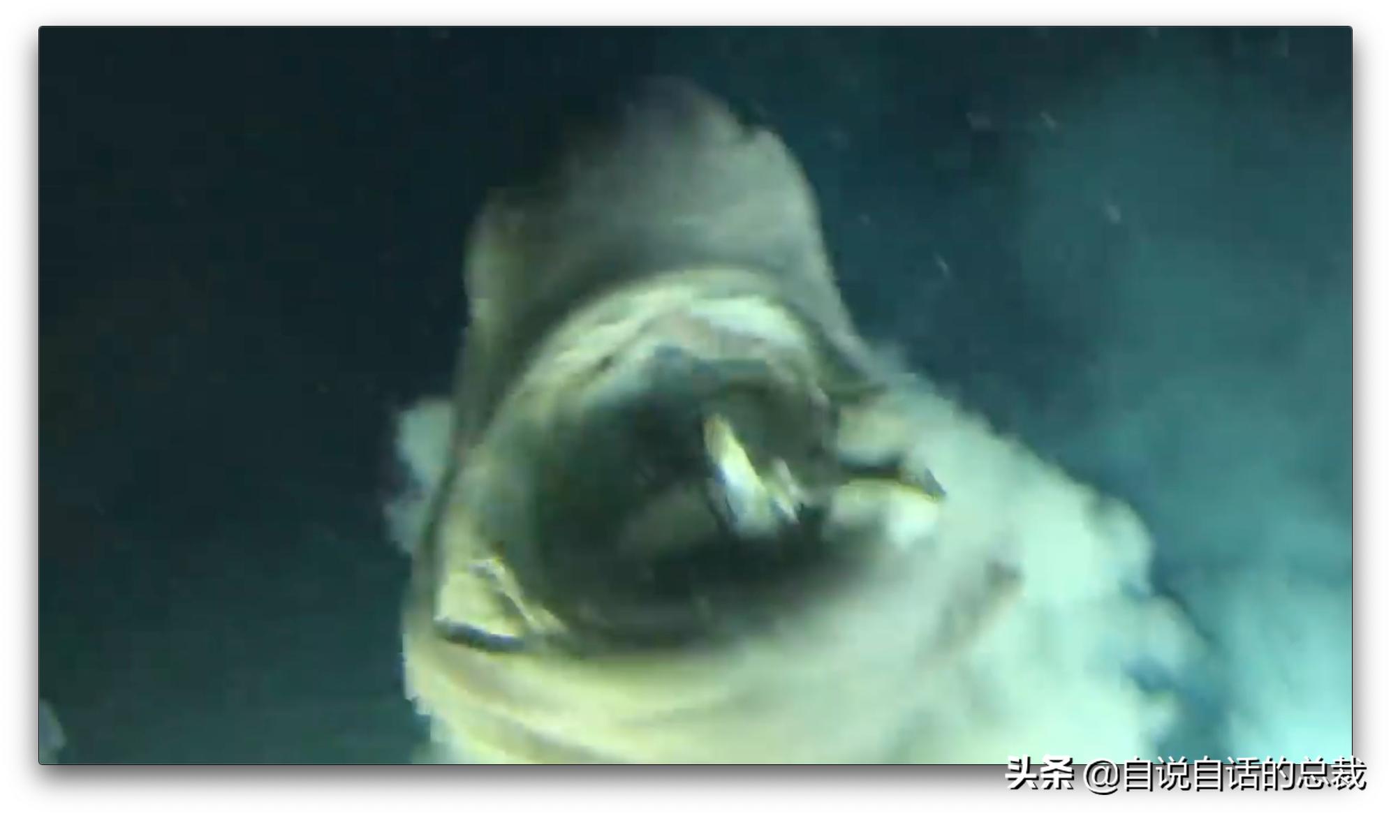 美国探测深海潜艇失踪事件,美国海神号发现了什么