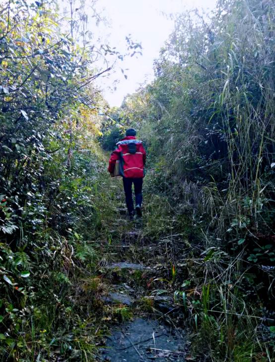 谁温暖了你的四季,谁温暖了冬季