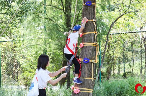涓婃捣浜插瓙闇茶惀娲诲姩,涓婃捣浜插瓙浜ゆ祦闇茶惀娲诲姩