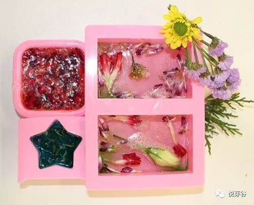 春末夏初,美美的三炫等你来