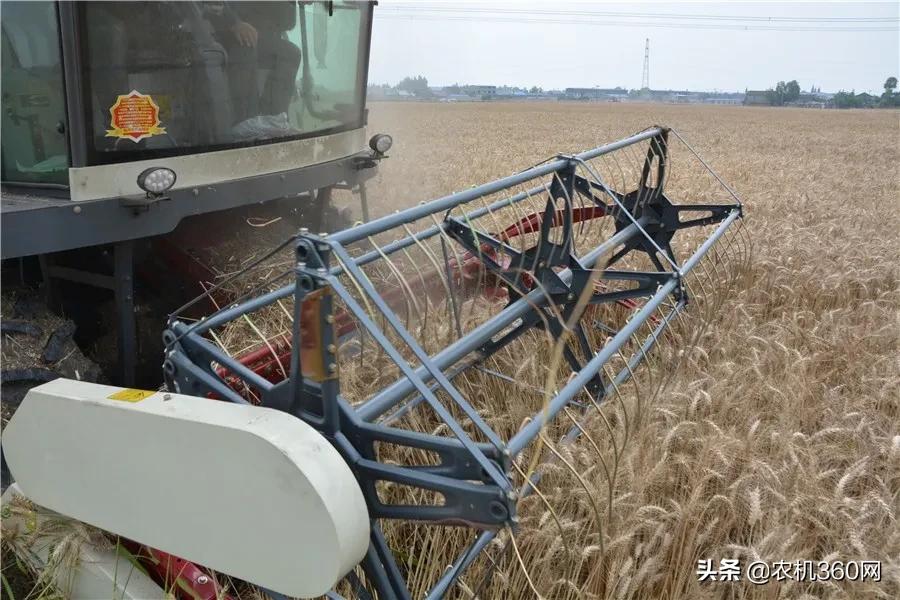 麦客首选,一机多用!沃得皓龙轮式纵轴流4LZ-8F型收获机闪耀上市