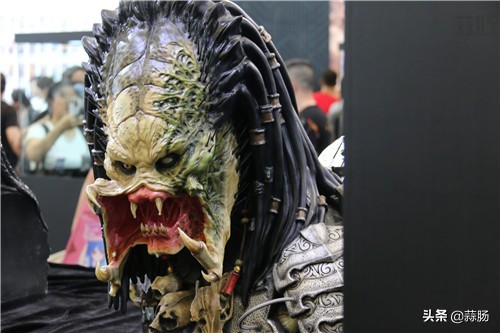 wf手办展飞天,wf上海限定手办