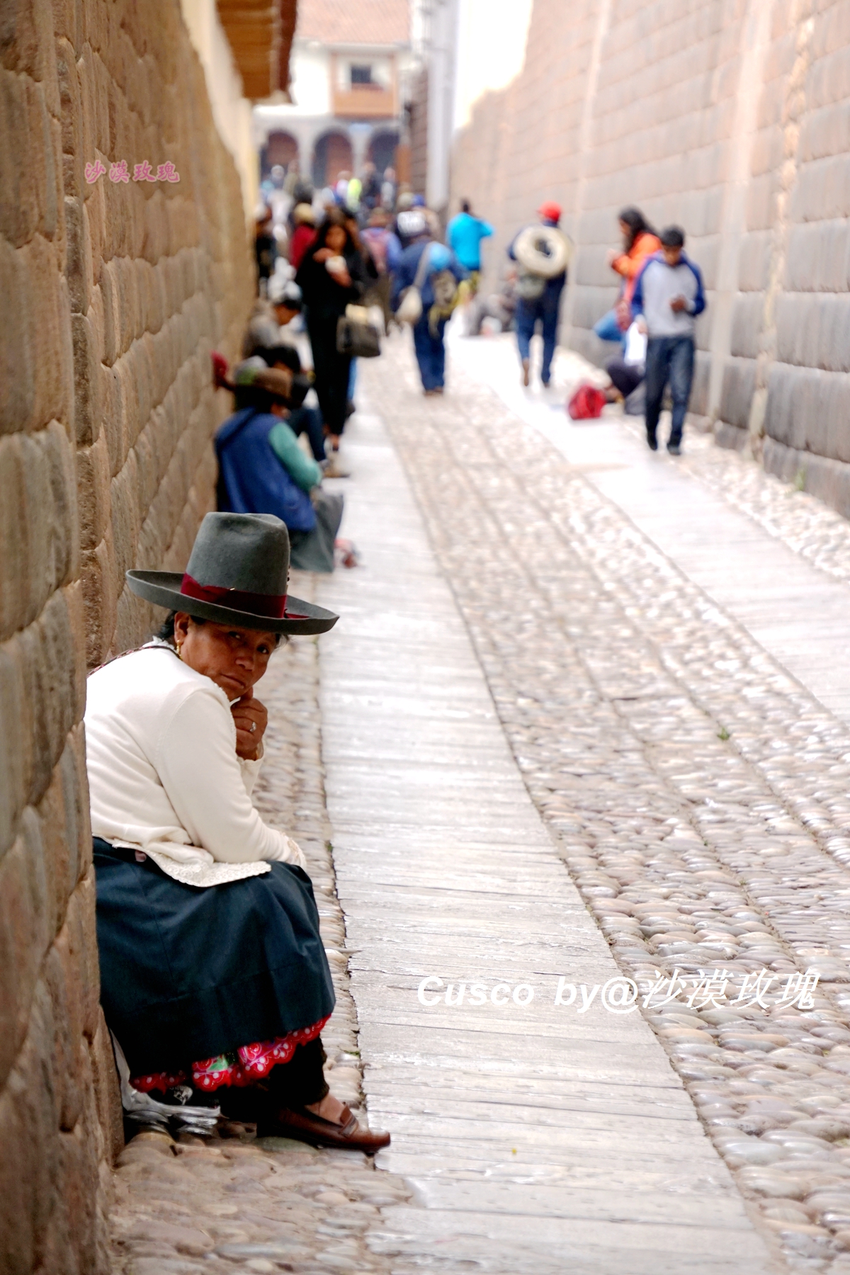 秘鲁国菜塞维切图片,秘鲁国菜十大名菜品尝