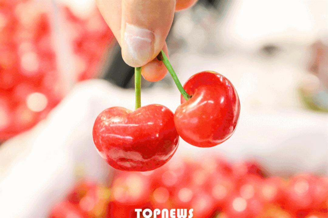 上海百联奥特莱斯五五购物节,五五购物节消费券优惠政策