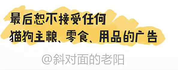 网红斜对面的老阳检测一次收一万,软文代理审核才发,卖猫狗粮