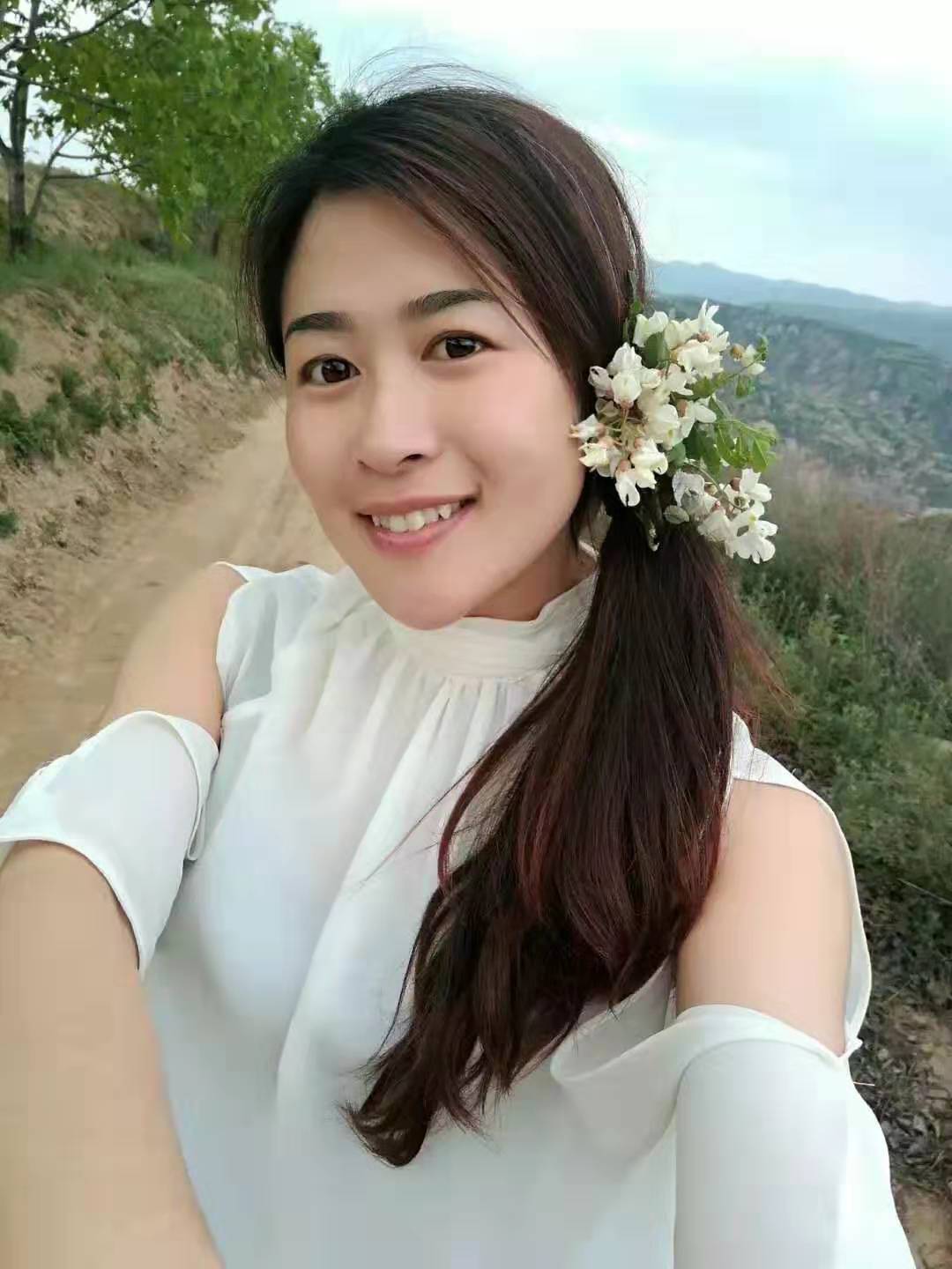 流浪的猫作品介绍,流浪的猫电影