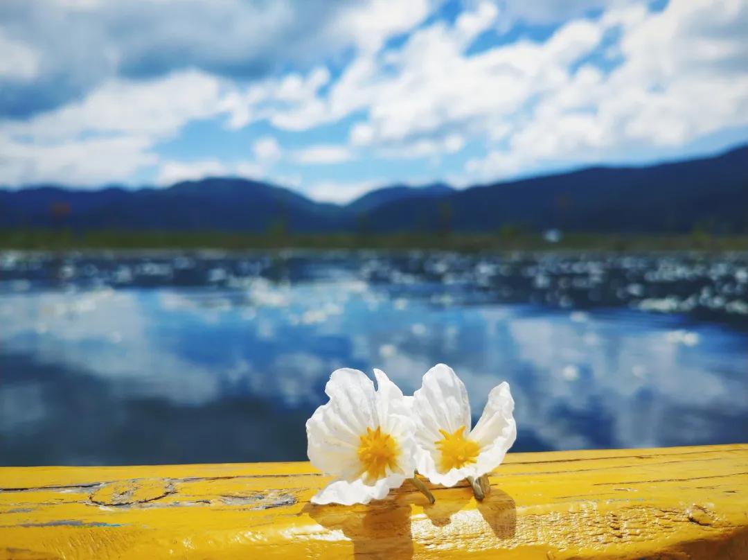 7月泸沽湖现状,7月的泸沽湖天气