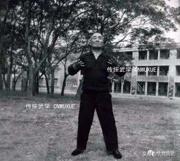 意拳王斌魁推手视频大全,意拳大师王斌魁先生作拳视频