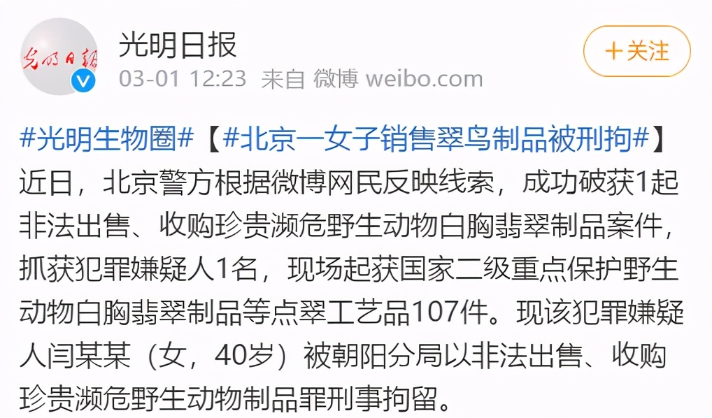 警惕！那些你刷上热门的萌宠视频，背后可能涉及野生动物非法交易