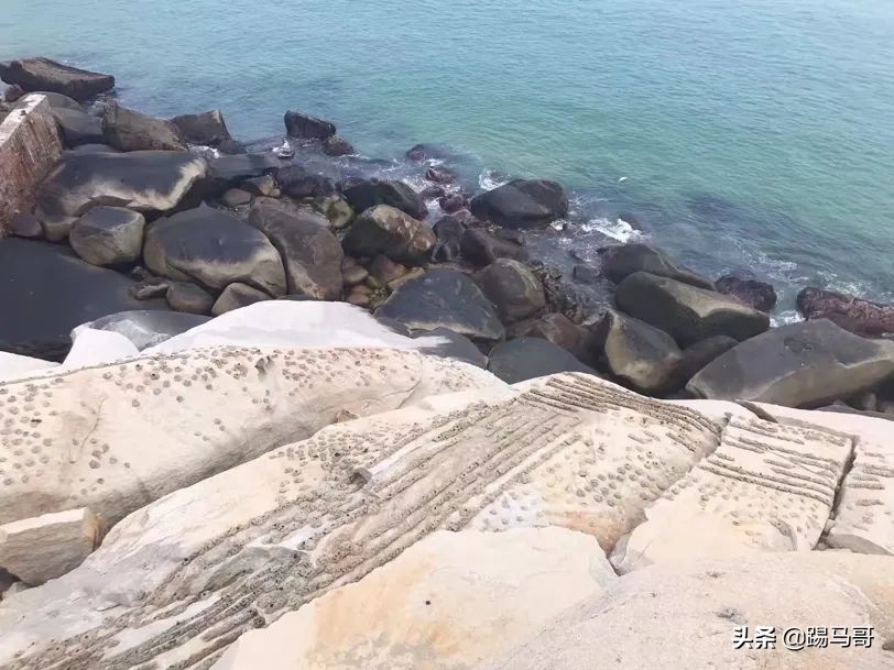 我向往的生活是什么样子短片,我向往的生活是怎么样的