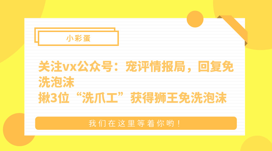 猫狗免洗泡沫评测,免洗清洁泡沫狗脚