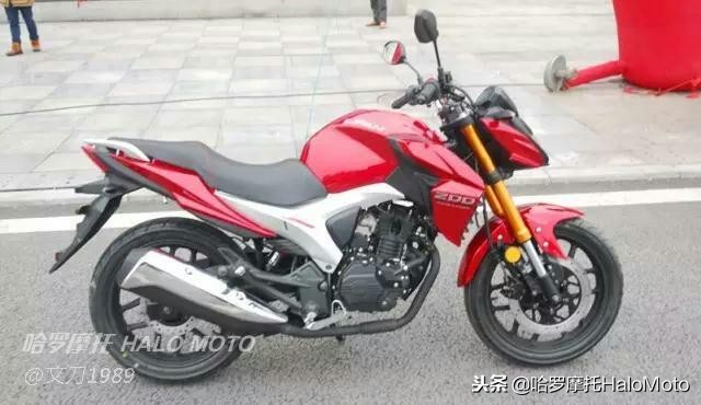 哈啰车评,哈罗评车20期