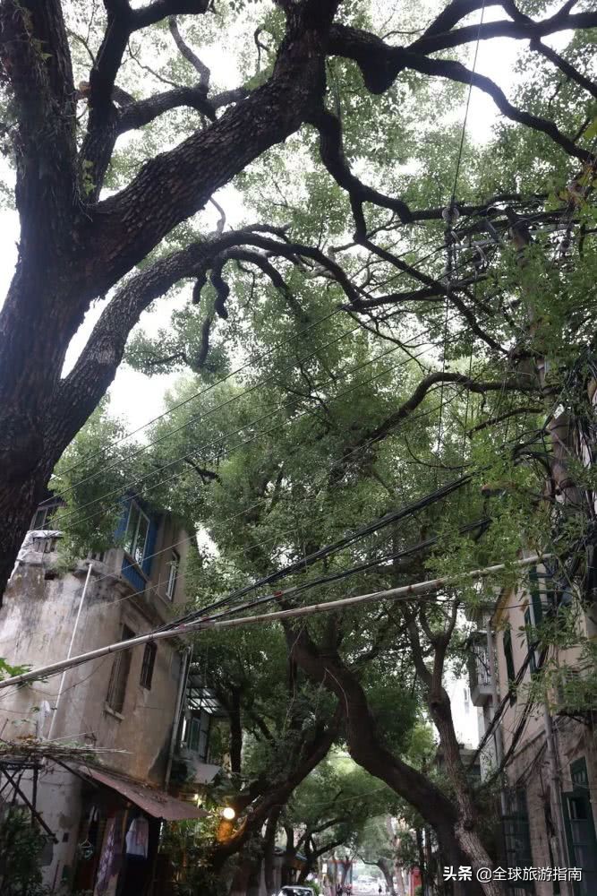 巷子里的花店有哪些,开在巷子的花店总是无人问津