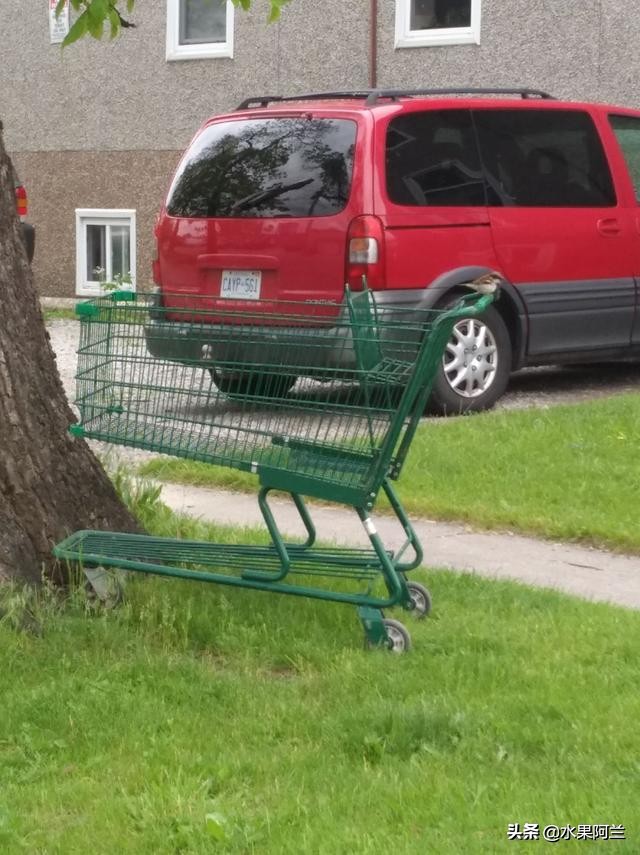 国际出行攻略,新西兰旅游攻略租车