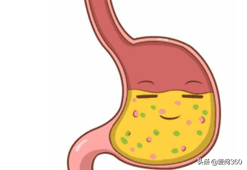 保护胃黏膜修复胃粘膜 (胃黏膜受损如何修复胃黏膜)