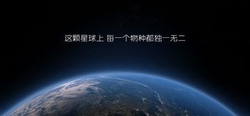 “金”屋藏“娇”？五金店竟敢偷卖这些精灵宝贝！