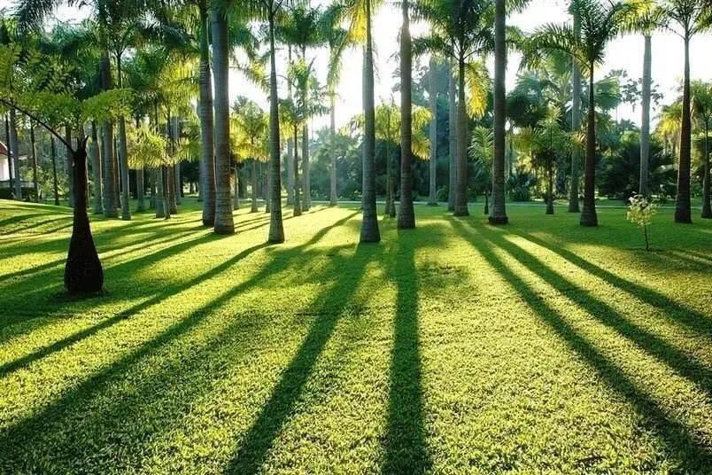 每个人心中都有一个西双版纳,西双版纳最吸引你的是什么