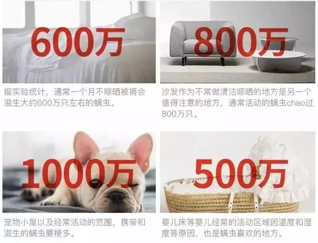 螨虫最怕的是什么办法,让螨虫远离你的简单方法