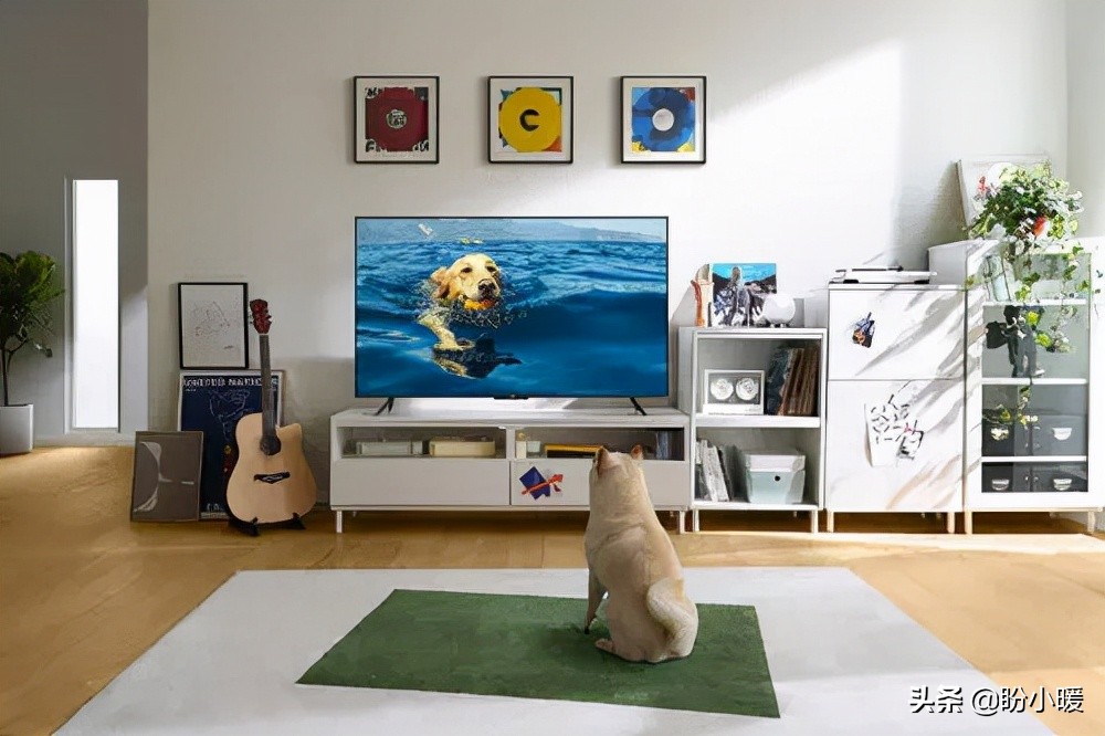 家里只装宽带可以看电视直播吗,家里有宽带怎样才能不花钱看电视