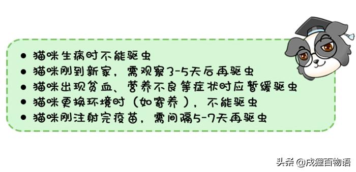 驱虫药吃了猫咪有什么反应,驱虫药吃多了猫咪嗜睡