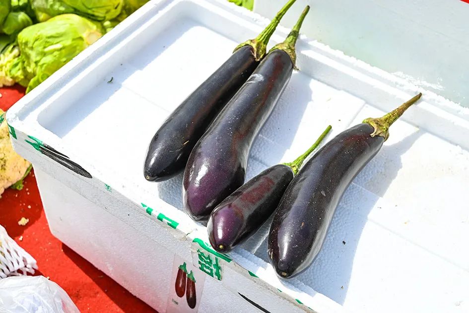 北京京郊大集地理位置,今天京郊哪有大集