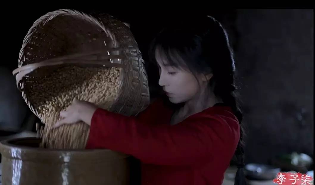 李子柒田园生活的魅力在哪里,当李子柒看到了不一样的田园生活