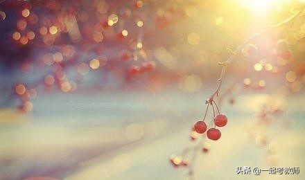 16岁女生在校怀孕：早恋，老师和家长究竟该如何应对