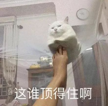 震惊！长春平均薪资6331元，竞争最激烈的行业竟是...