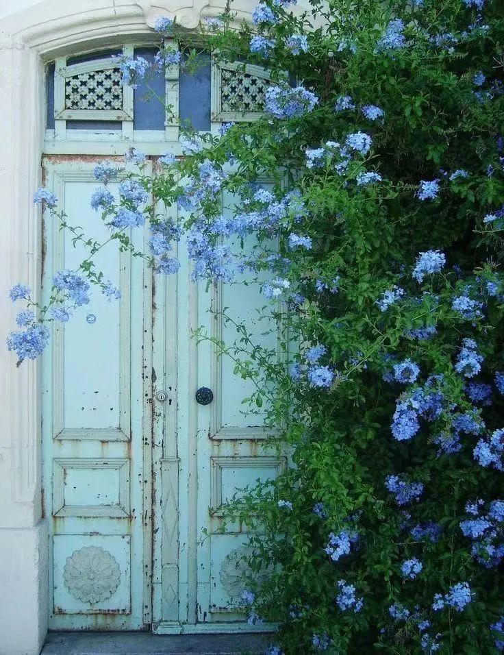 农村十款阳台设计,漂亮的阳台设计露天