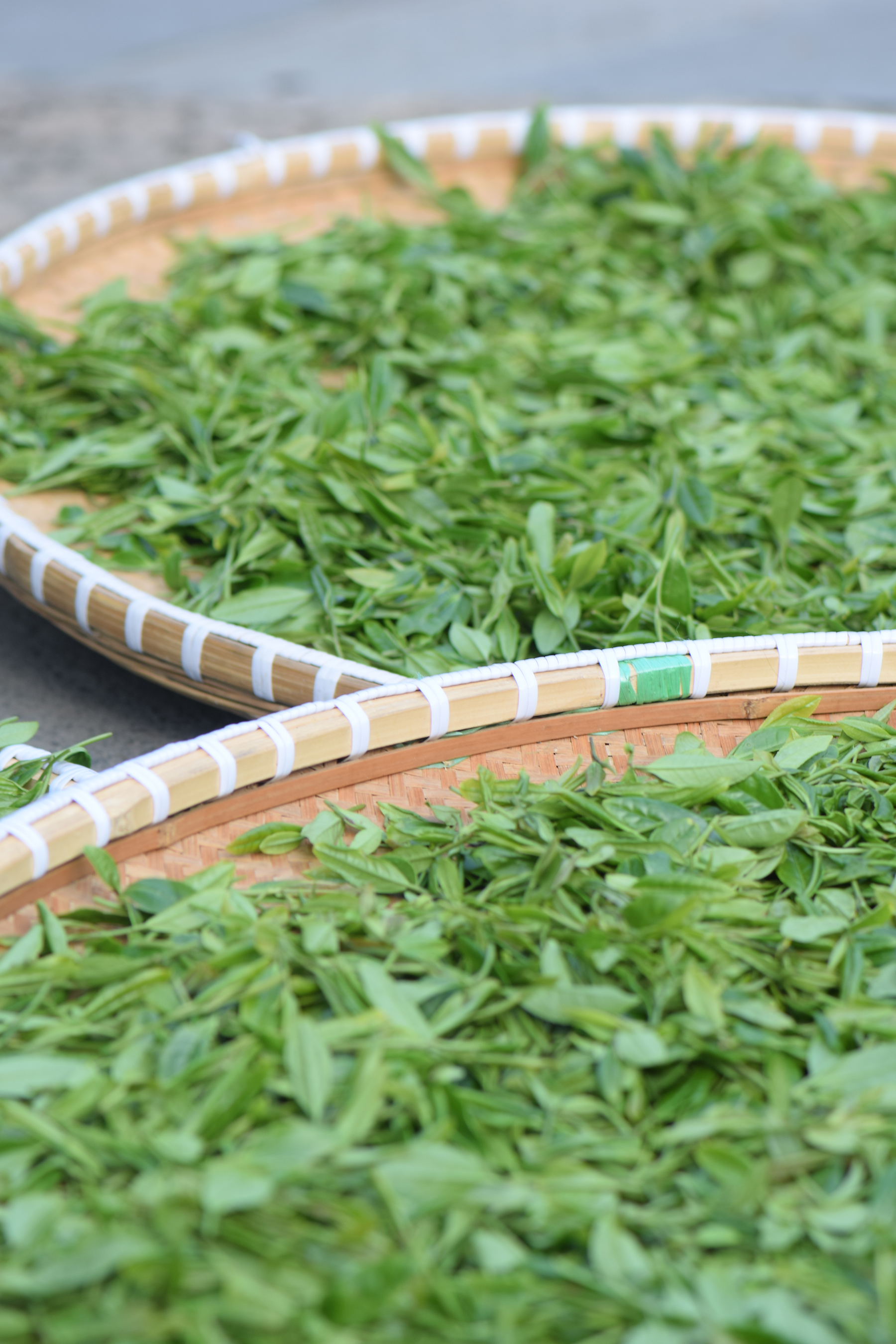 从业十年我所经历的火爆和低迷,茶行业真实揭露