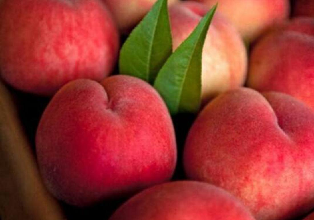 三年的桃树如何嫁接换其它品种,盆栽桃树如何修剪才能快速结桃