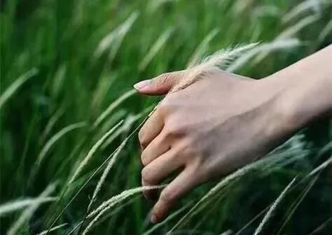 盐如人生：一勺盐，放进杯子里，会咸；撒进湖水里，会淡